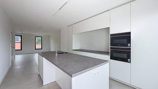 Beigemsesteenweg - 409 - 0101 - 1850