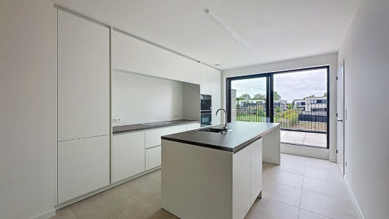 Beigemsesteenweg - 409 - 0101 - 1850