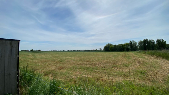 Putstraat - 20 - 0105 - 20/0105 - 8690