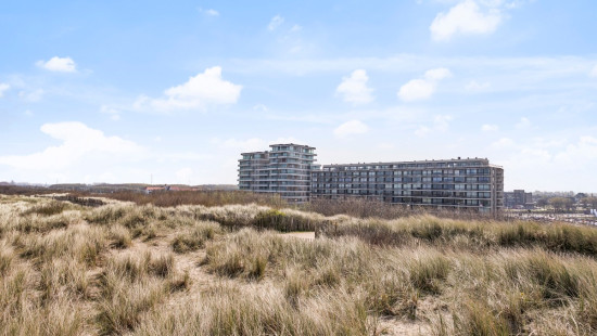 A. Ruzettelaan - 183 - 3c5 - 8370