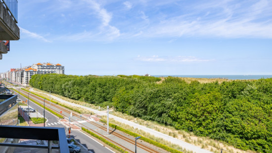 A. Ruzettelaan - 183 - 3c5 - 8370