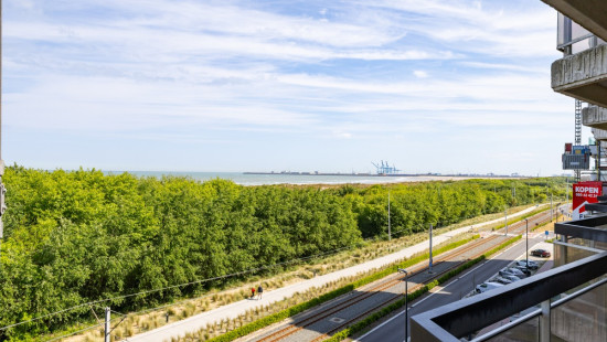 A. Ruzettelaan - 183 - 3c5 - 8370