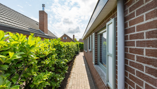 Peerdehoek - 23 - - 8670