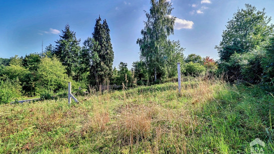 Nouvelle Route de Villers - 16 - - 1490