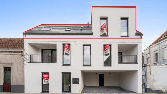 Moeie - 2A - 003 - 2.0 - 9900