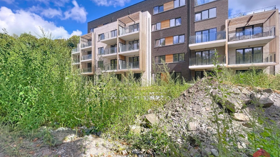 Rue de la Justice - 79 - A31 - 5300