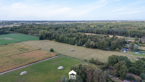 Lange Dweersstraat - 6 - - 1 - 9190