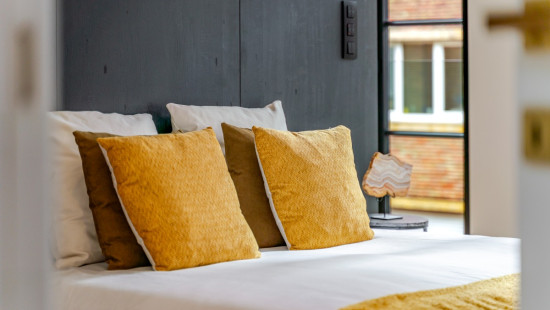 Emile van Arenberghstraat - 24 - - 3000