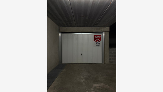 Wilgenpad - 1 - G17 - 8660