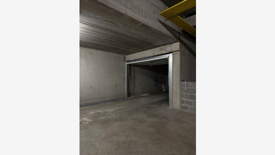 Wilgenpad - 1 - G17 - 8660