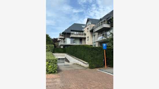 Wilgenpad - 1 - G17 - 8660