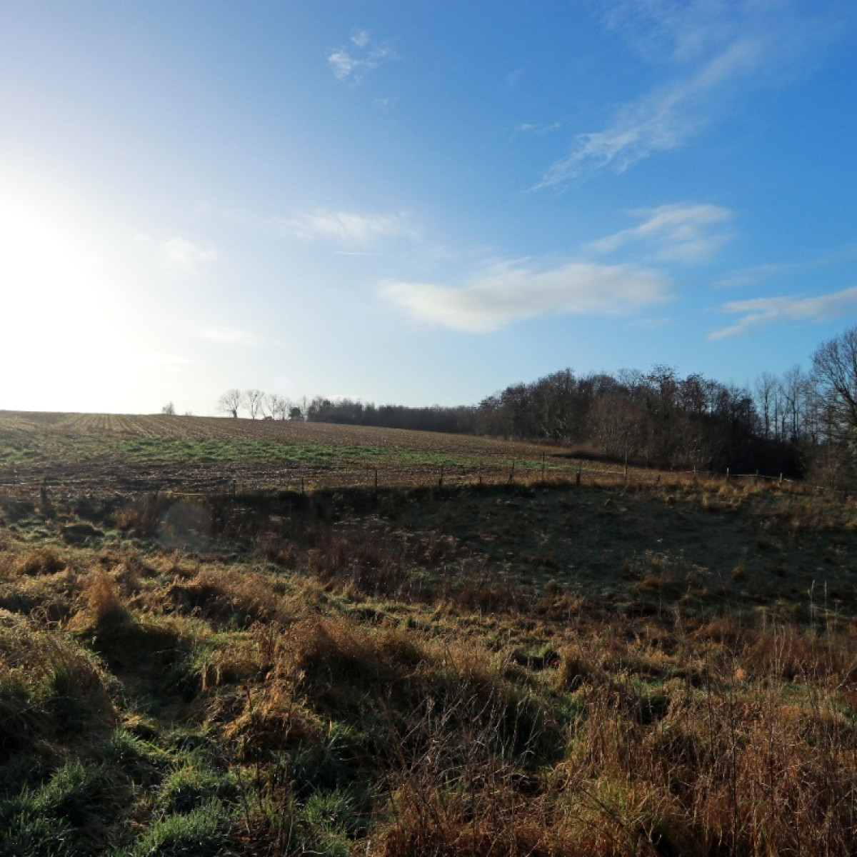 Diestsesteenweg - Papenbos - - 3390