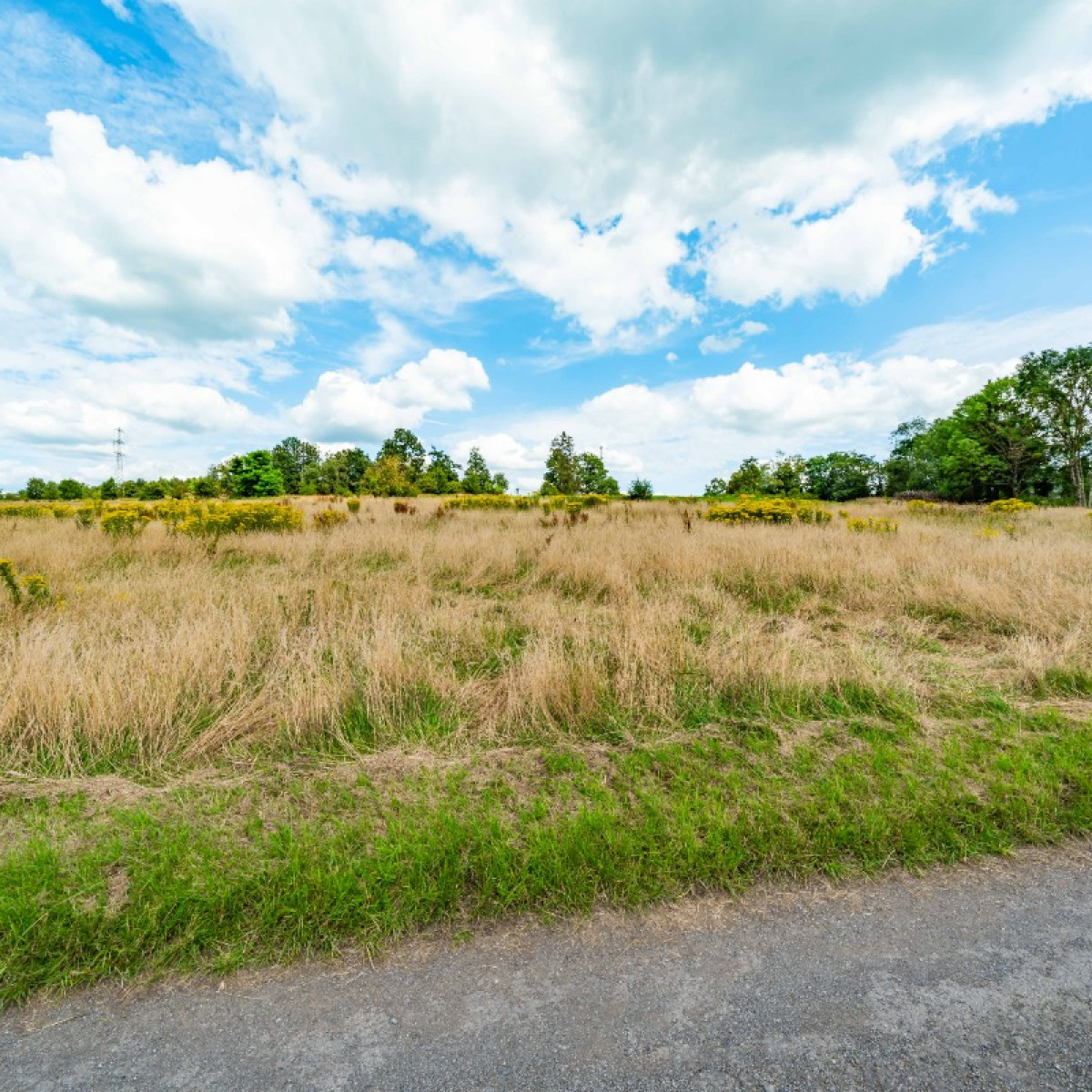 Chemin de Haudrenne - 0 - - 6687