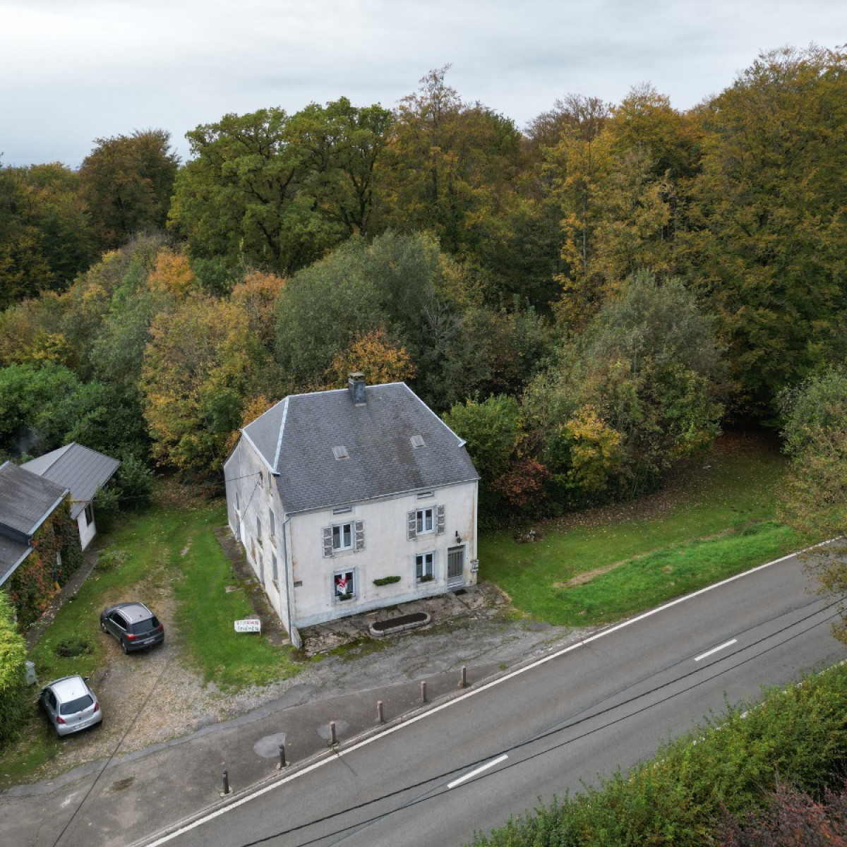 Rue de la Forêt - 76 - - 6821