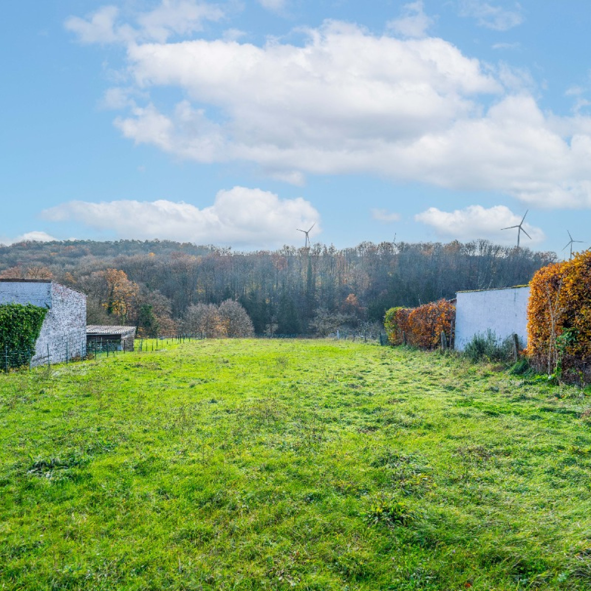 Rue Deminche - 96 - - 5150