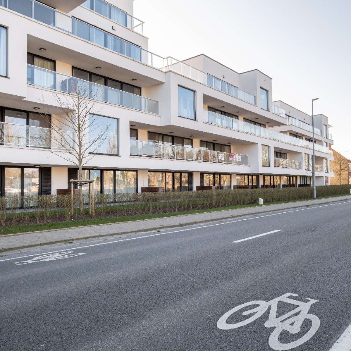 Zuidburgweg - 48 - 0206 - 8630