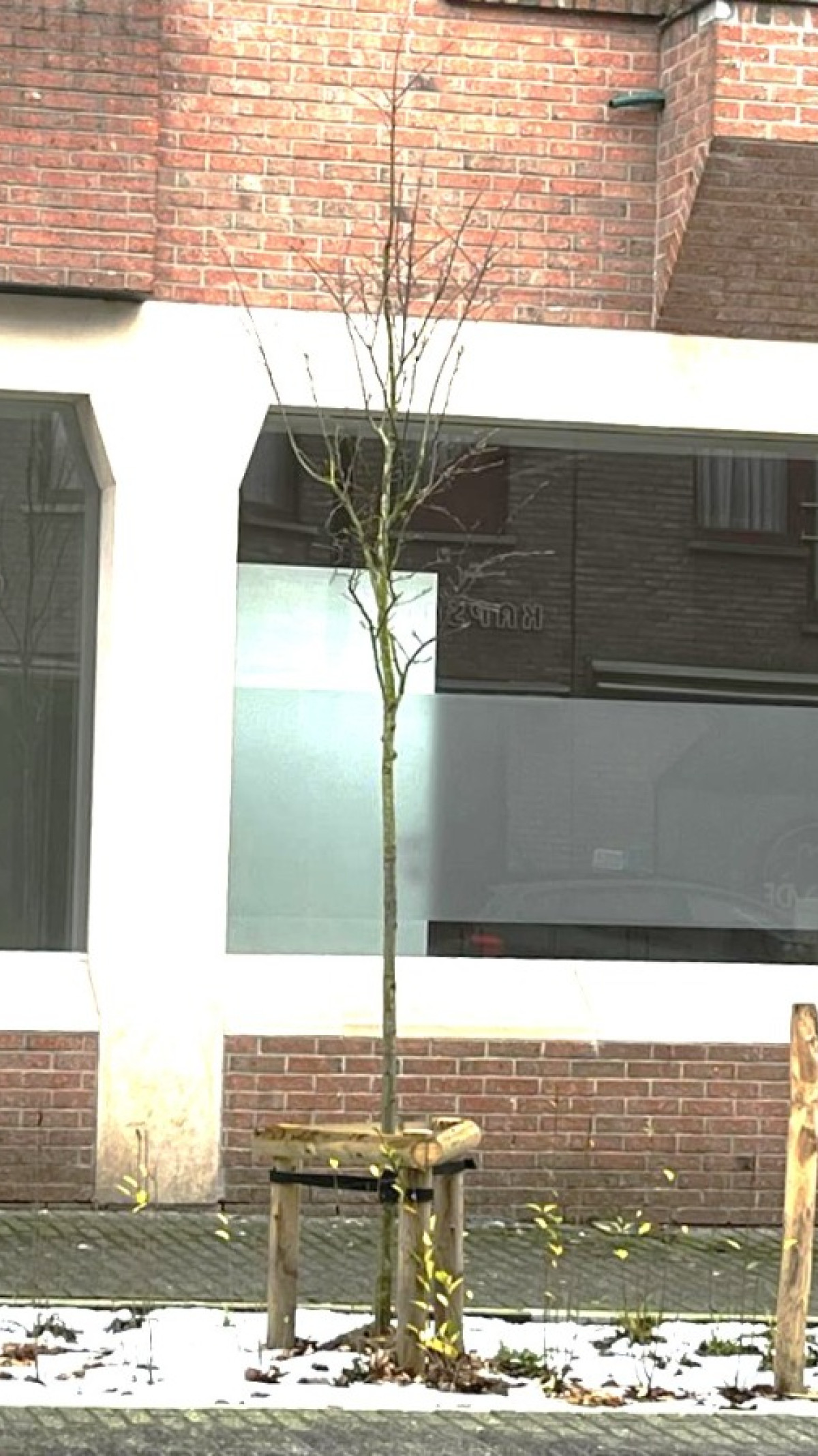 Onze Lieve Vrouwstraat - 12 - 2A - 3580